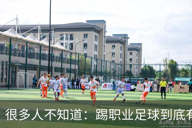 很多人不知道：踢职业足球到底有多难？天赋仅仅只是入场券！